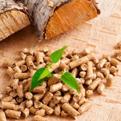 Viên Nén Gỗ Nhiên Liệu Sinh Khối - Chất Lượng Cao